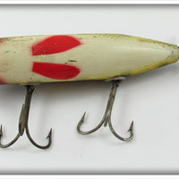 Creek Chub Perch Injured Minnow