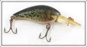 Vintage Rebel Naturalized Bass Little Suspend R Lure