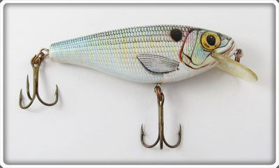 Vintage Rebel Natural Shad Baitfish Minnow Lure