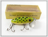 Vintage Fred Arbogast Frog Spot Jitterbug Lure In Box