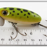 Arbogast Frog Spot Jitterbug In Box