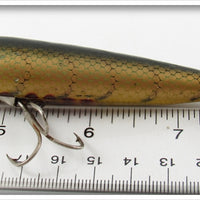 Barracuda Bait Co Gold Scale Dalton Special
