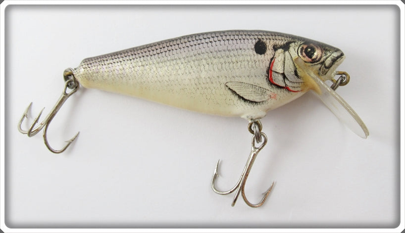 Vintage Bagley Shad Small Fry Shad Lure For Sale
