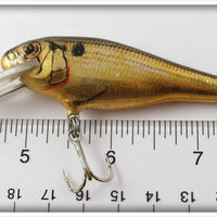 Bagley Gold Chrome Shad Bass 'N Shad