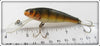 Bagley Small Fry Perch