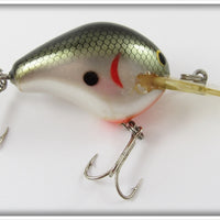 Vintage Bagley Tennessee Shad Divin' B Lure