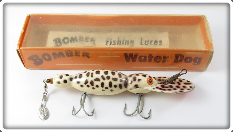 Vintage Bomber Bait Co Coachdog Water Dog Lure In 1620 Box For Sale