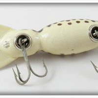 Bomber Coachdog Water Dog In 1620 Box