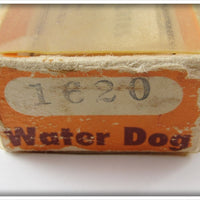Bomber Coachdog Water Dog In 1620 Box