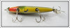 Barracuda Bait Silver Scale Florida Shiner In Box