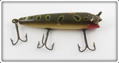 Creek Chub Frog Spot Darter