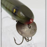 Paw Paw Green Gold Scale Pike