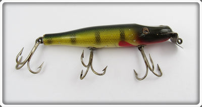 Creek Chub Perch Pikie