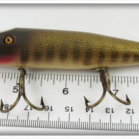 Creek Chub Pikie Scale Pikie