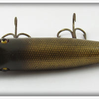 Creek Chub Pikie Scale Pikie