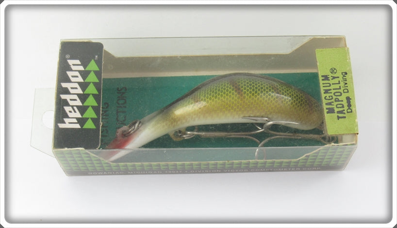 Vintage Heddon Perch Magnum Tadpolly Lure Sealed In Box