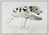 Heddon White & Black Coachdog Crazy Crawler Lure