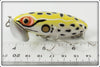 Arbogast Swamp Frog Jitterbug