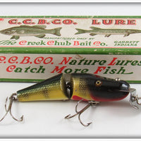 Creek Chub Perch Baby Jointed Pikie Lure In Box