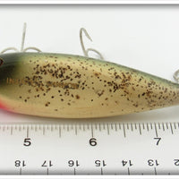 Creek Chub Silver Flash Injured Minnow