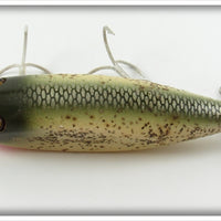 Creek Chub Silver Flash Injured Minnow