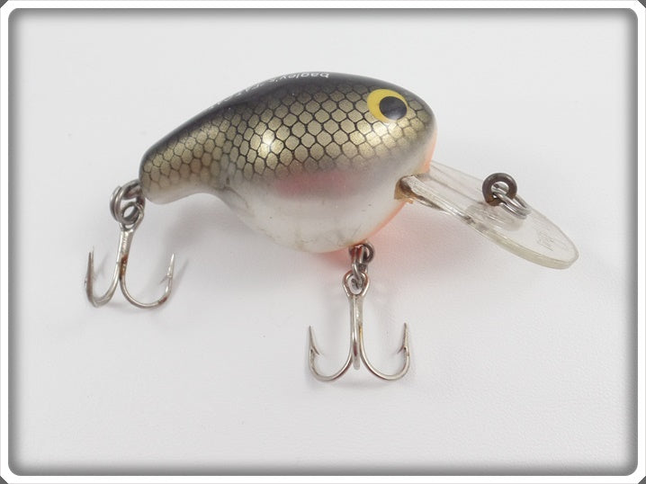 Bagley Tennessee Shad Fat Cat For Sale