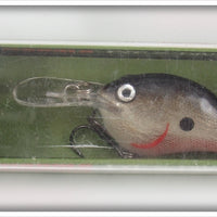 Rapala Silver DT-6 Dives To Six Feet Lure In Box 