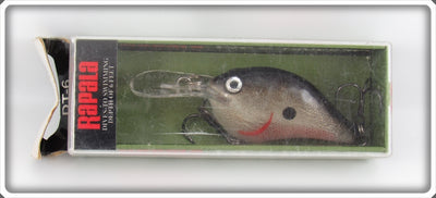 Rapala Silver DT-6 Dives To Six Feet Lure In Box 