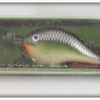 Rapala Smash DT-10 Dives To Ten Feet Lure In Box 