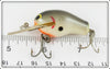 Bagley Grey Shad Diving Honey B
