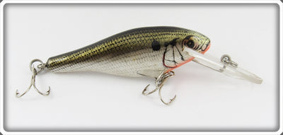 Bagley True Life Shad Bass N Shad Lure