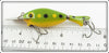 Brook's Frog Spot Digger