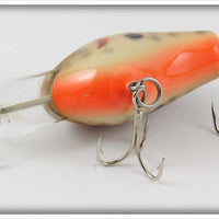 Bagley Dark Crayfish Diving B I DB1