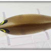 Smithwick Brown Shiner Orange Belly Bo Jack