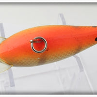 Smithwick Brown Shiner Orange Belly Bo Jack