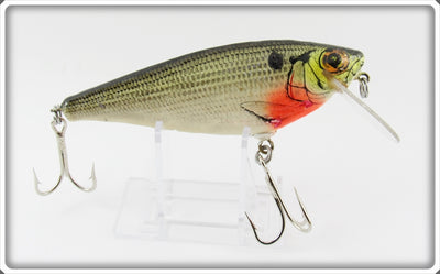 Bagley Crippled Shad Monster Shad Lure