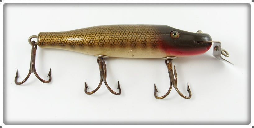 Vintage Creek Chub Pikie Scale Pikie Lure