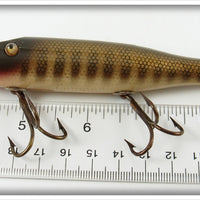 Creek Chub Pikie Scale Pikie
