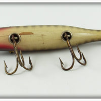 Creek Chub Pikie Scale Pikie