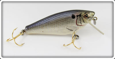 Bagley Shad On White Small Fry Shad Lure