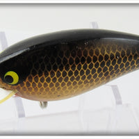 Smithwick Gold Black Scales Orange Belly Bo Jack