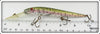 Cordell Natural Rainbow Trout Redfin Minnow