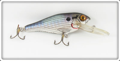 Bagley Striper Finish Bass N Shad Lure 
