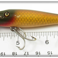 Creek Chub Golden Shiner Midget Pikie