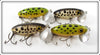 Fred Arbogast Black Coachdog & Frog Spot Jitterbug Lot Of Four Lures