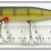 Creek Chub Perch Husky Pikie