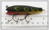 Creek Chub Frog Concave Belly Darter