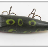 Creek Chub Frog Concave Belly Darter