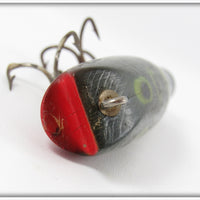 Creek Chub Frog Concave Belly Darter