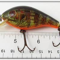 Rebel Naturalized Perch Shallow R